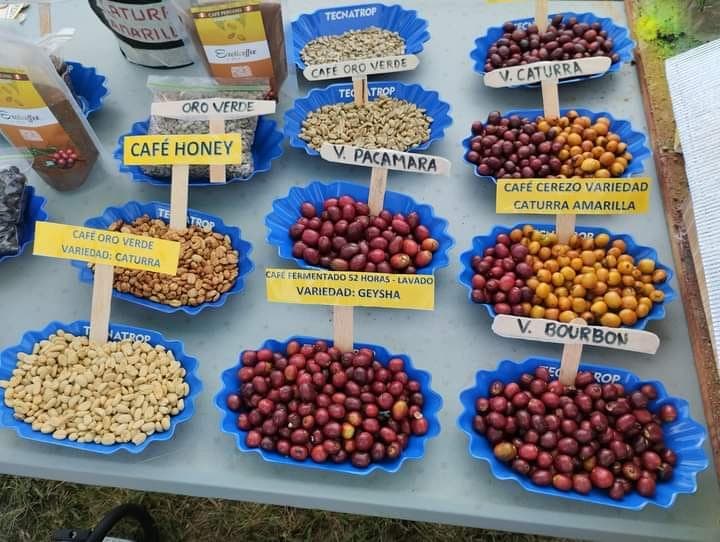 Picture for PeruEsCafe coffee producer.