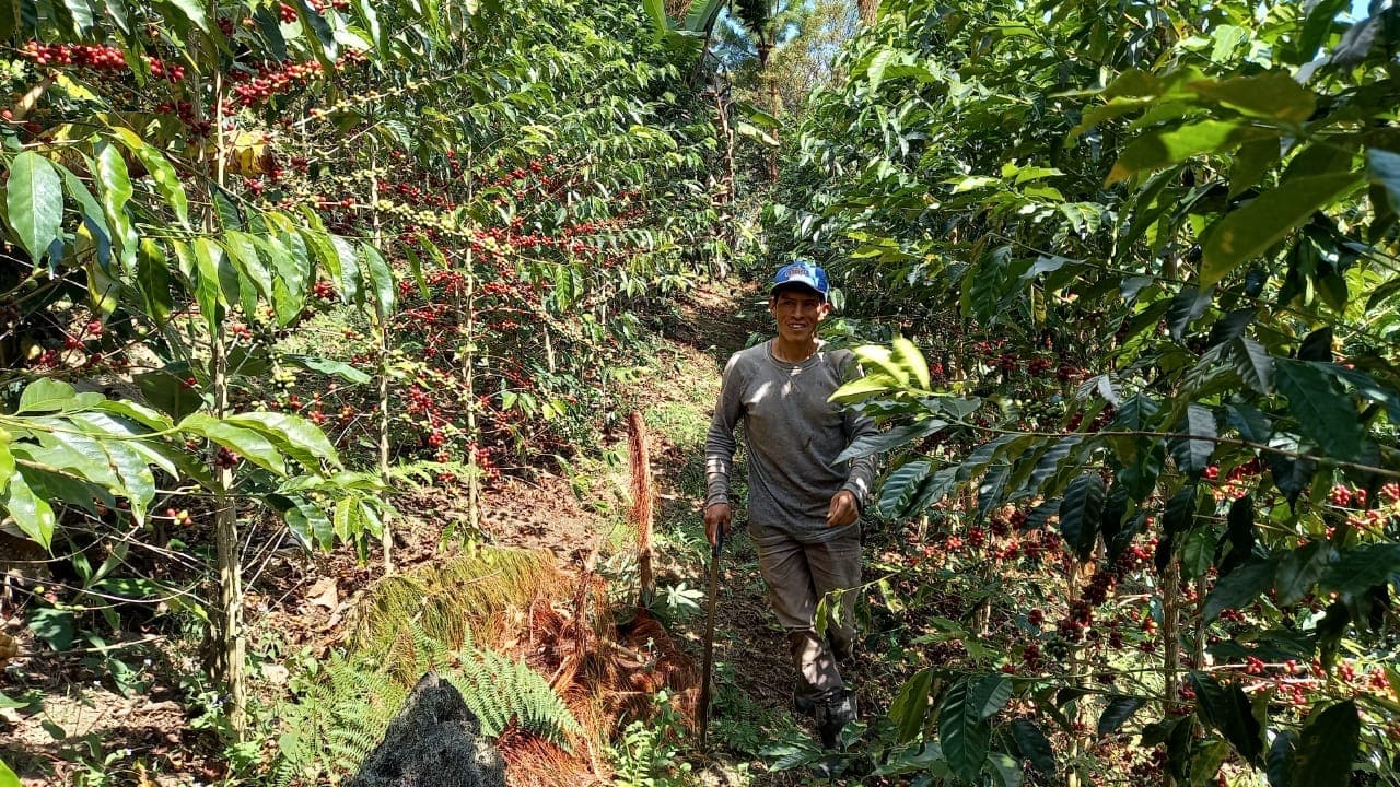 Picture for PeruEsCafe coffee producer.